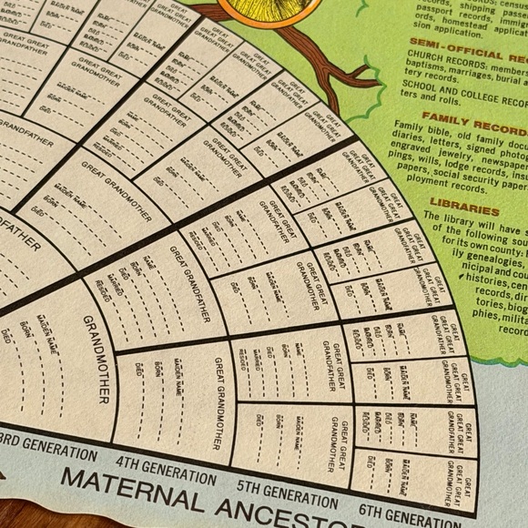 Vintage Family Tree Chart (paper) - Picture 3 of 6